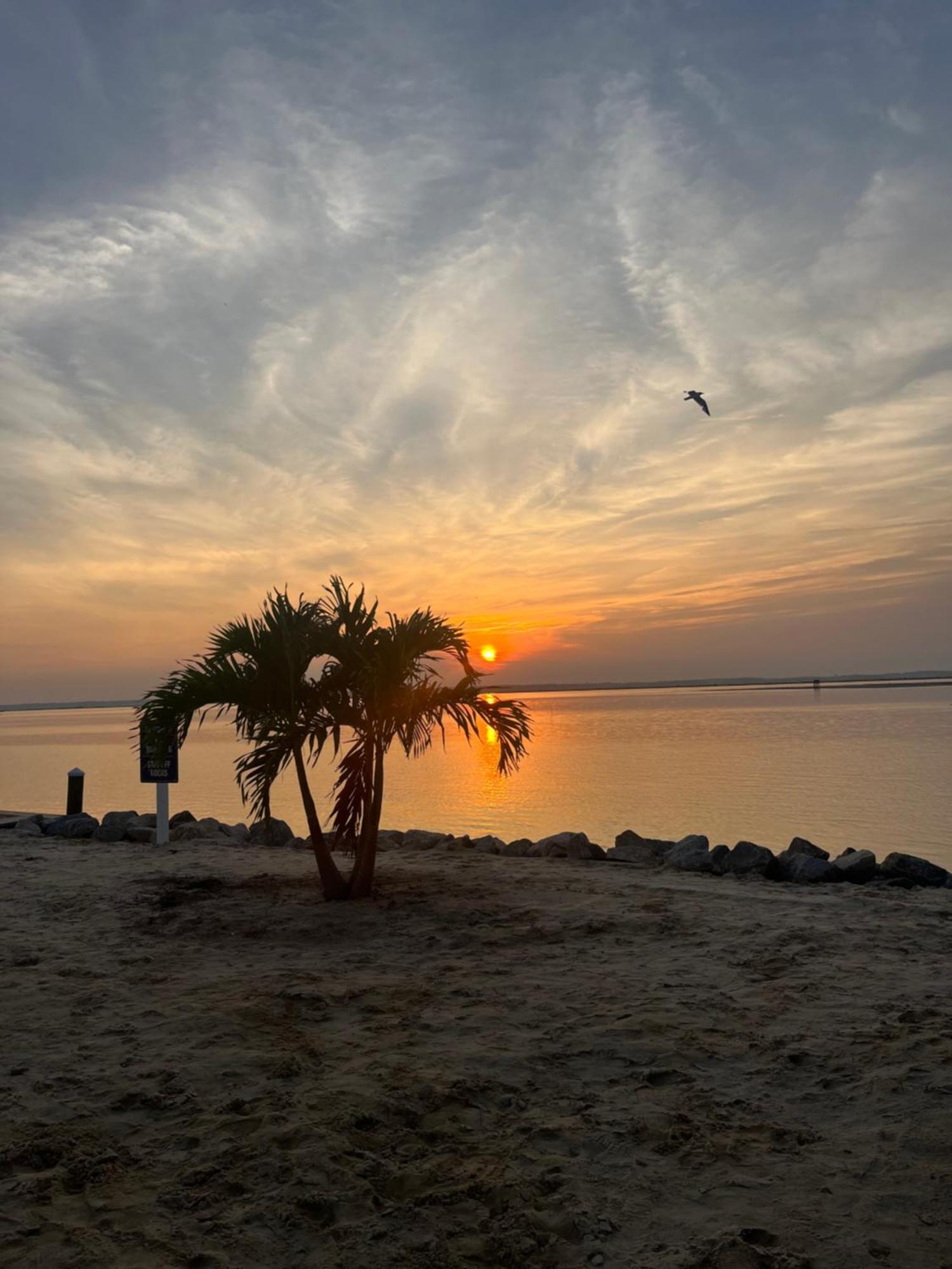 Blufin Bungalows & Marina Chincoteague Dış mekan fotoğraf